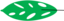 Leaf morphology Fenestrate.png