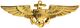 Naval Aviator Badge.jpg