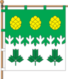 Флаг