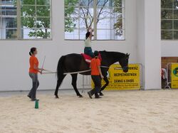 Therapeutic horseback riding 1.JPG