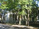 TsarskoeSelo2012 4847.jpg
