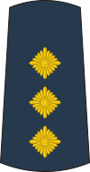 11-Serbian Air Force-CPT.svg