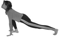 Ashva sanchalanasana.jpg