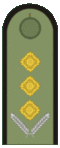 Belarus BKA 1944 everyday - Kapitan OF-2.gif