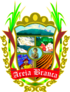 Brasao areiabranca.png