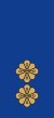 Estonia-Police-Vanemkomissar.svg