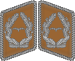 Luftwaffe collar tabs Major 3D.svg