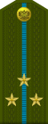 Russia-AirBorne-OF-1c-1994-field.svg
