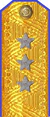 погоны 1943