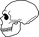 Череп неандерталеца (Homo neanderthalensis).png