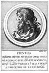 27-CHINTILA.JPG