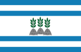Флаг