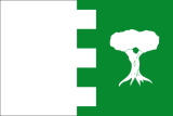 Флаг