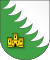 Coat of Arms of Chojniki, Belarus.svg