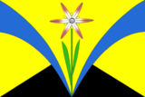 Флаг