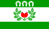 Флаг