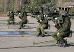 Lithuanian Stingers.jpg