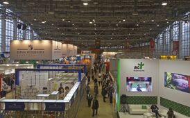 книжная ярмарка 2025.