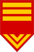 Paraguay-Army-OR-9b.svg
