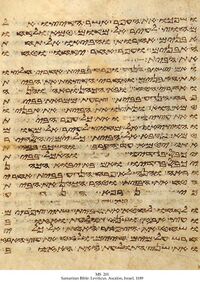 Samaritan Leviticus.jpg