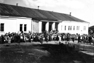 Альтернативный текст