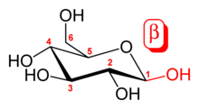 Beta-D-glucopyranose-2D-skeletal.png