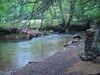 CampCreekFallenBridge.jpg