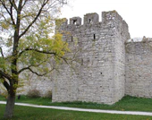 Grå Gåsen Ringmuren Visby.jpg