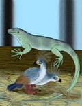 Lapitiguana impensa.JPG