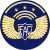 Tecnico jefe fuerza aerea.svg