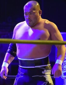 Tomohiro Ishii 2016.JPG