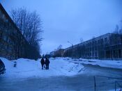 Ul Festiv5.JPG