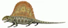 Dimetrodon milleri
