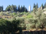 Ein-Karem.jpg