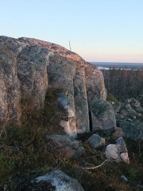 Karelia vottovara.jpg