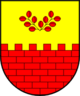 Герб общины Мирен-Костаневица