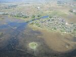 Okavango11.jpg