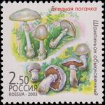 Russia stamp 2003 № 877.jpg