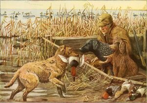The book of dogs; an intimate study of mankind's best friend (1919) (20370563356).jpg