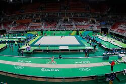 Treino da seleção feminina de ginástica artística do Brasil (28154154054).jpg