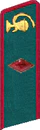 петлица 1937