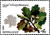 Почтовая марка СССР № 5121. 1980. Охраняемые породы деревьев и кустарников.jpg