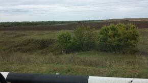 Aktanyshsky District, Tatarstan, Russia - panoramio (1).jpg