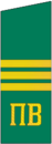 погон 1973