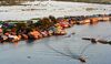 Water Dwelling Tonle Sap Cambodia.jpg