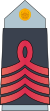 05. AAF-SSG.svg