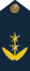 AvTenienteCoronel.png
