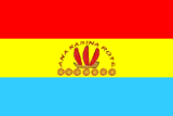 Флаг