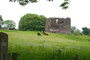 Castle Carra - geograph.org.uk - 467784.jpg