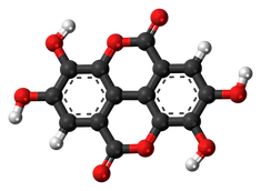 Ellagic acid 3D ball.png